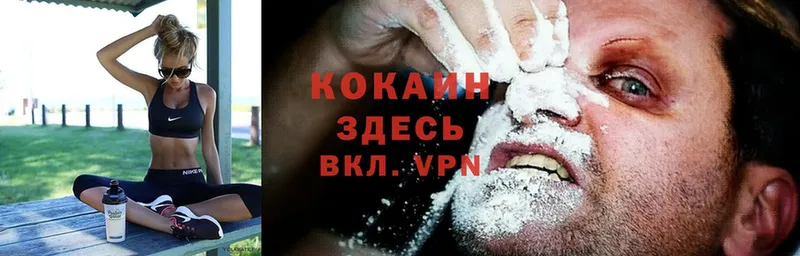 даркнет Telegram  Удомля  Cocaine Fish Scale 